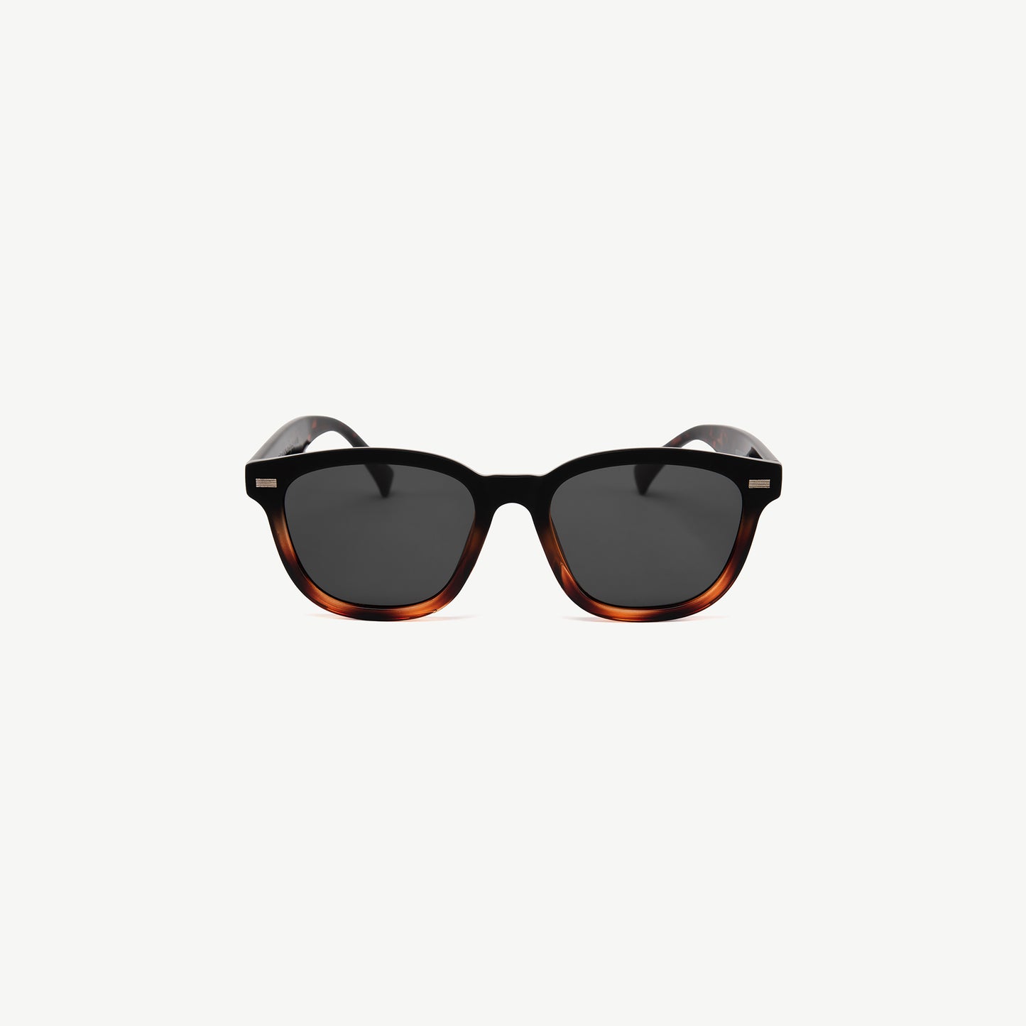 Elio Havana Fade Sunglasses